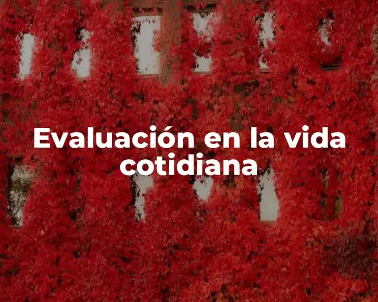 Evaluación en la vida cotidiana
