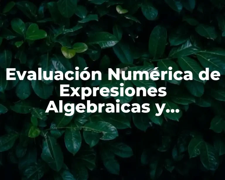 Evaluación Numérica de Expresiones Algebraicas y Significado