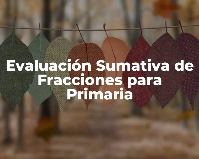 Evaluación Sumativa de Fracciones para Primaria