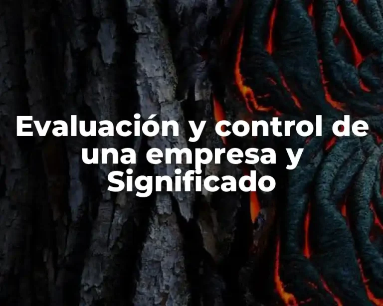 Evaluación y control de una empresa y Significado