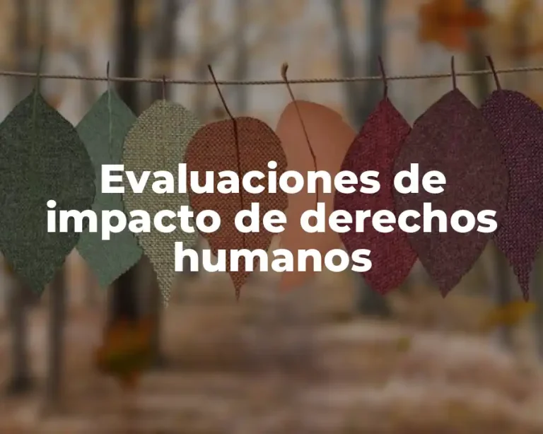 Evaluaciones de impacto de derechos humanos