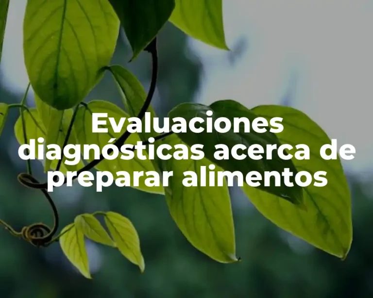 Evaluaciones diagnósticas acerca de preparar alimentos