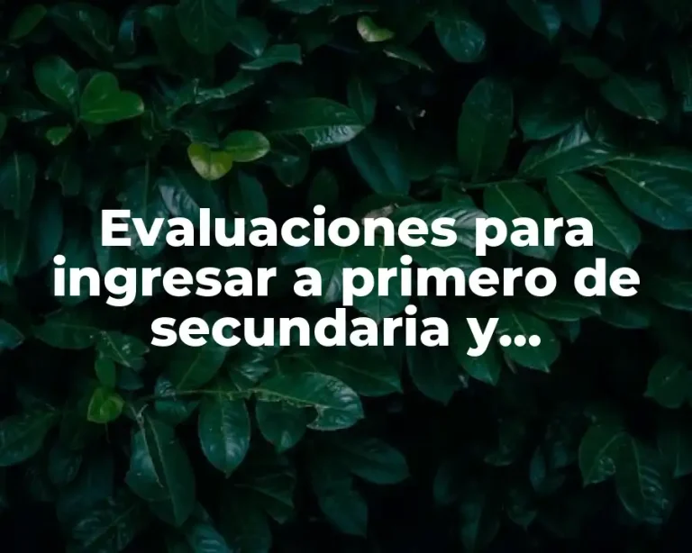 Evaluaciones para ingresar a primero de secundaria y Significado