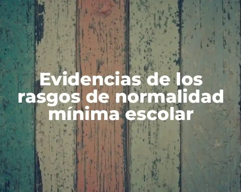 Evidencias de los rasgos de normalidad mínima escolar