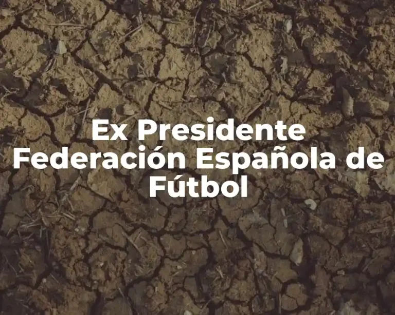 Ex Presidente Federación Española de Fútbol
