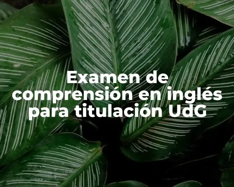 Examen de comprensión en inglés para titulación UdG