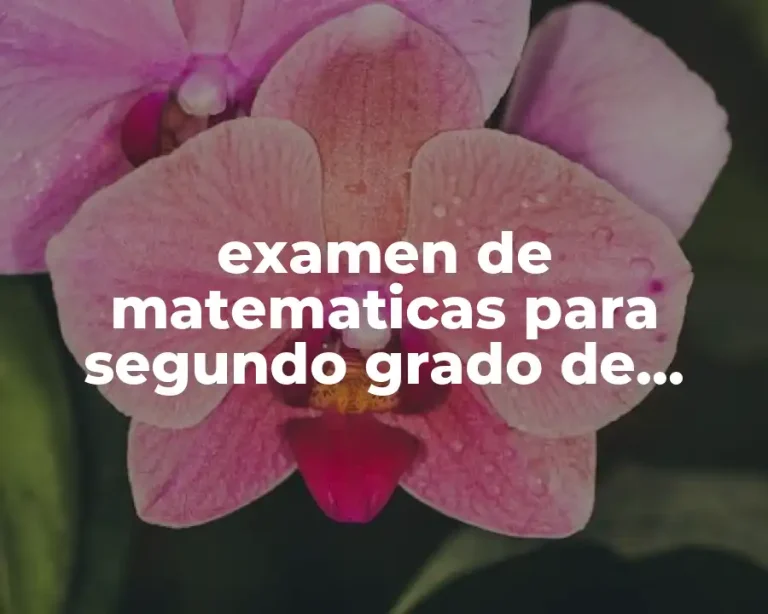 examen de matematicas para segundo grado de primaria