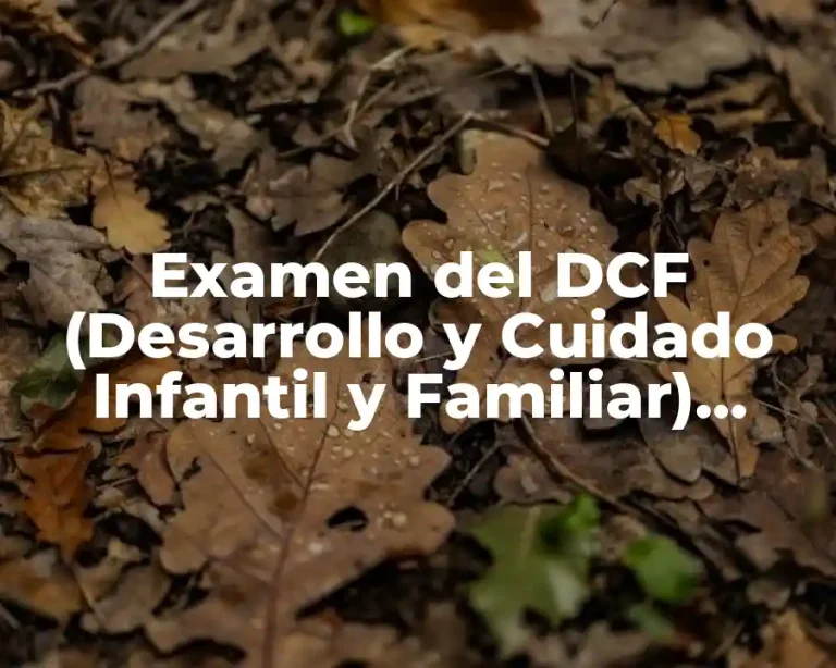 Examen del DCF (Desarrollo y Cuidado Infantil y Familiar) Salud, Seguridad y Nutrición