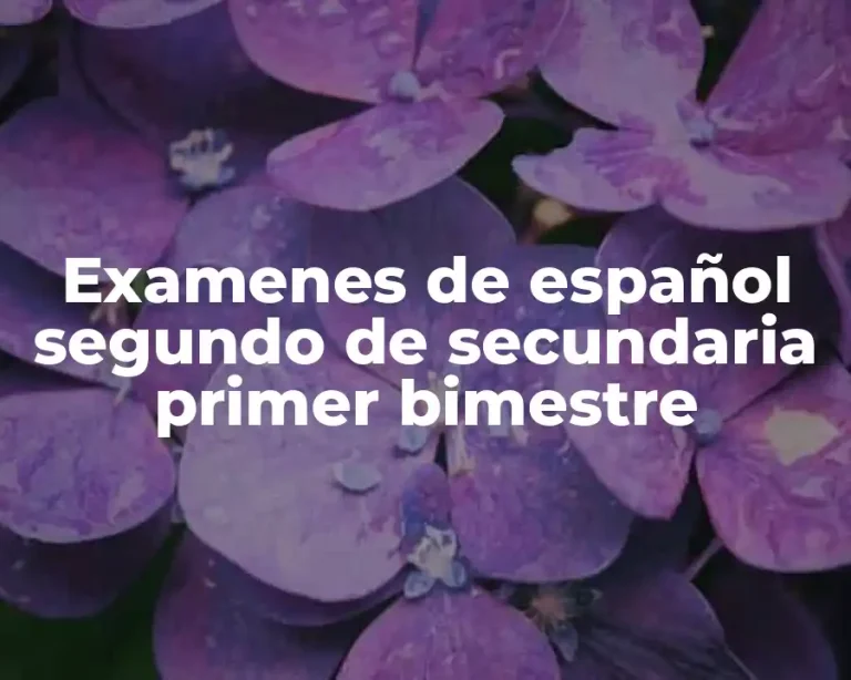 Examenes de español segundo de secundaria primer bimestre