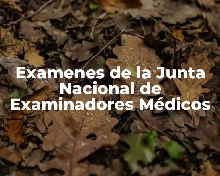 Examenes de la Junta Nacional de Examinadores Médicos
