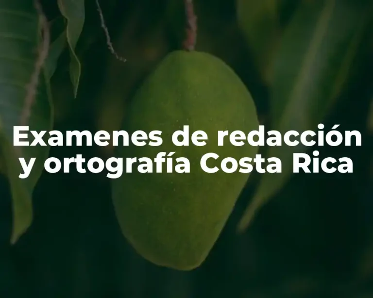 Examenes de redacción y ortografía Costa Rica
