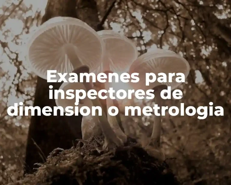 Examenes para inspectores de dimension o metrologia