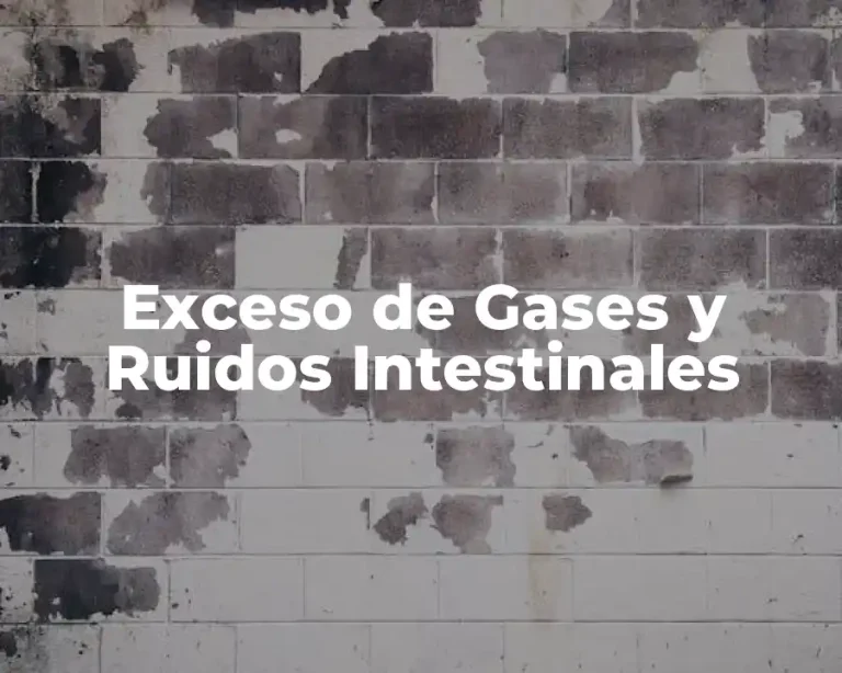 Exceso de Gases y Ruidos Intestinales