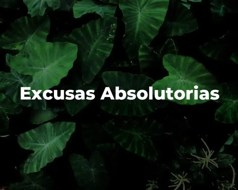 Excusas Absolutorias