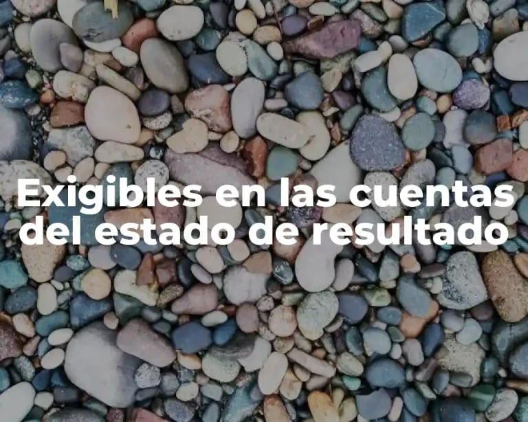 Exigibles en las cuentas del estado de resultado