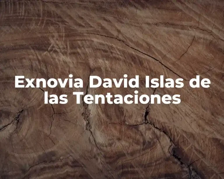 Exnovia David Islas de las Tentaciones