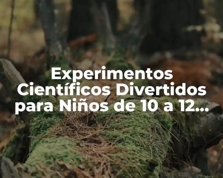 Experimentos Científicos Divertidos para Niños de 10 a 12 Años