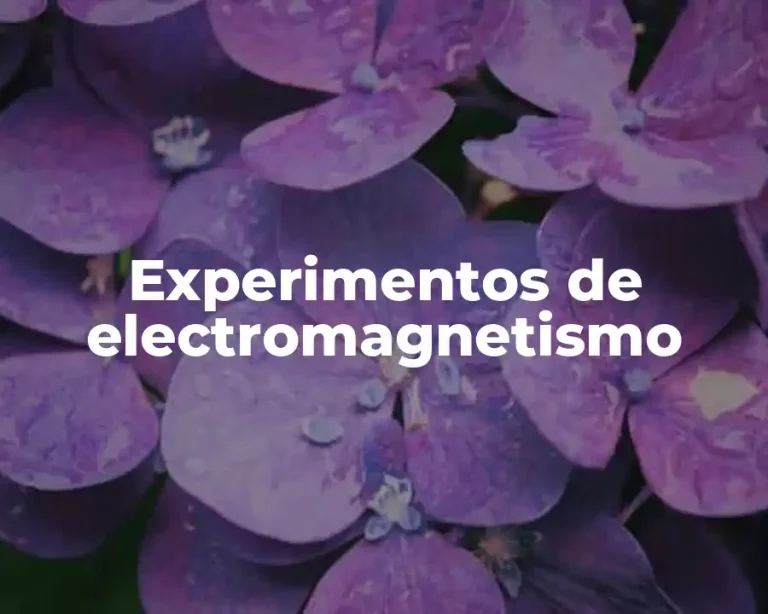 Experimentos de electromagnetismo