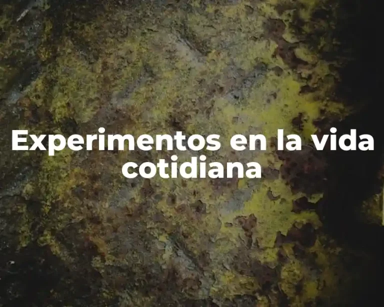 Experimentos en la vida cotidiana