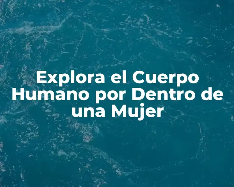 Explora el Cuerpo Humano por Dentro de una Mujer