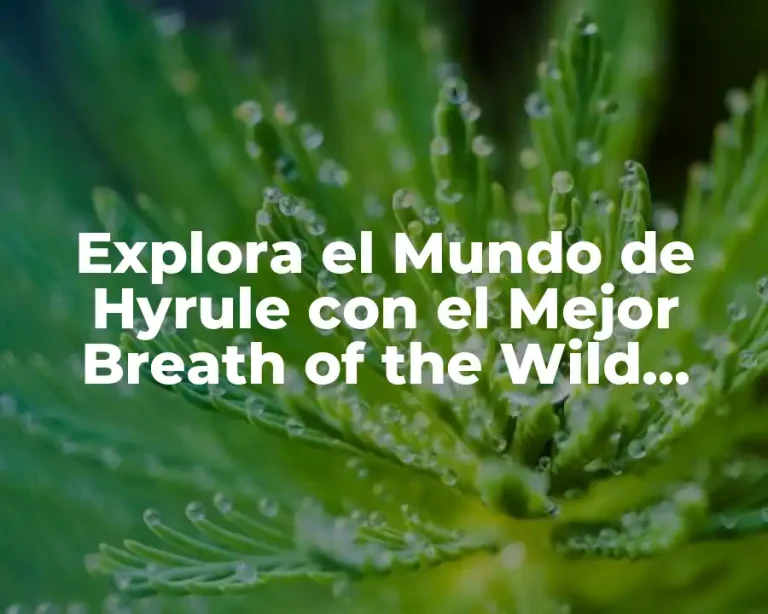 Explora el Mundo de Hyrule con el Mejor Breath of the Wild Mapa Interactivo