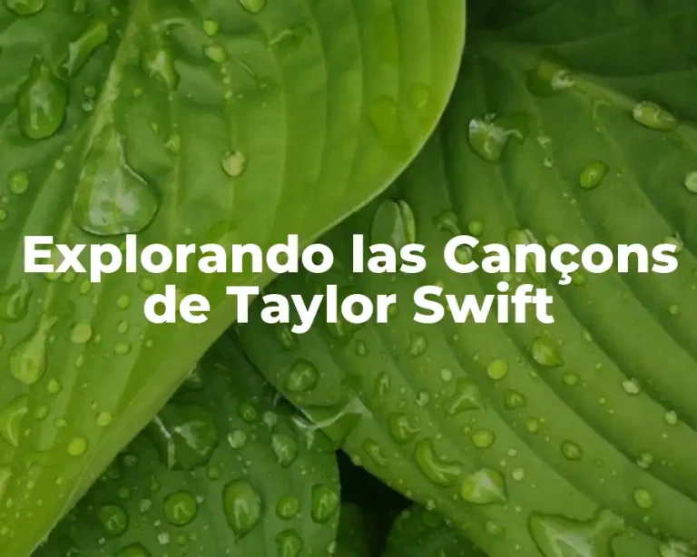 Explorando las Cançons de Taylor Swift
