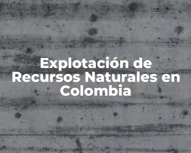 Explotación de Recursos Naturales en Colombia