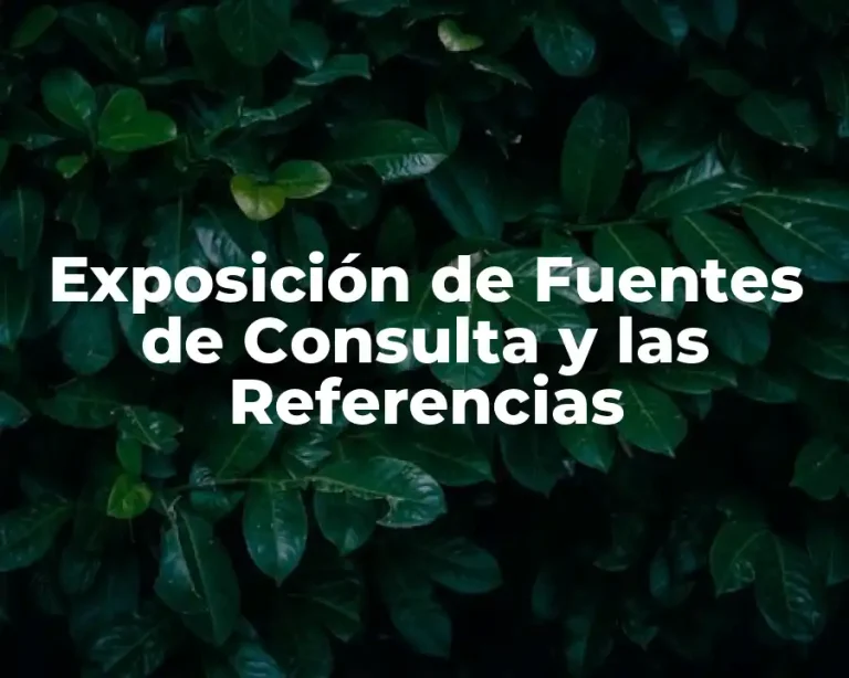 Exposición de Fuentes de Consulta y las Referencias
