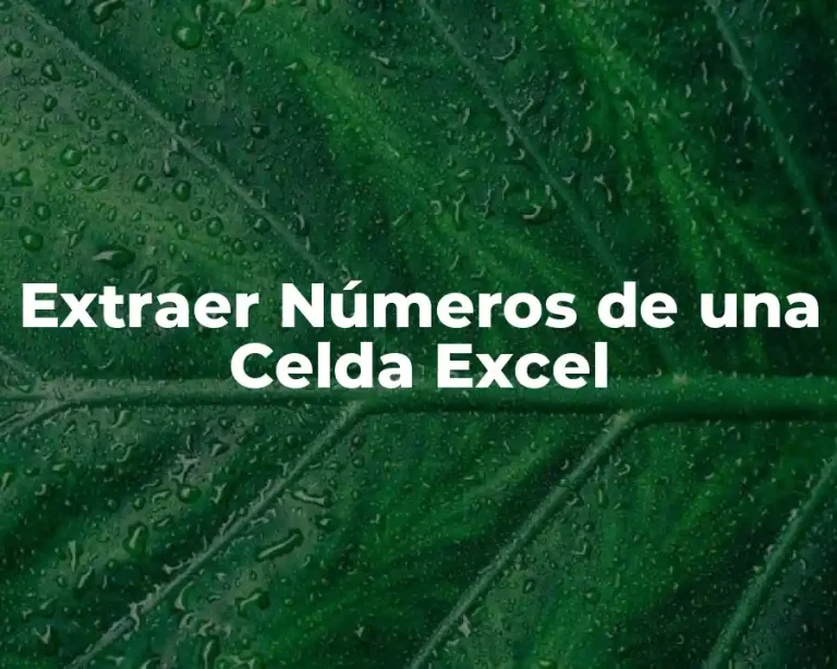 Extraer Números de una Celda Excel