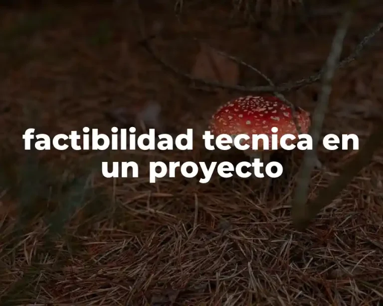 factibilidad tecnica en un proyecto