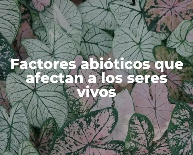 Factores abióticos que afectan a los seres vivos