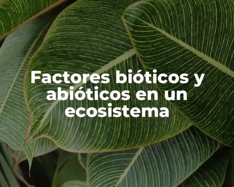 Factores bióticos y abióticos en un ecosistema