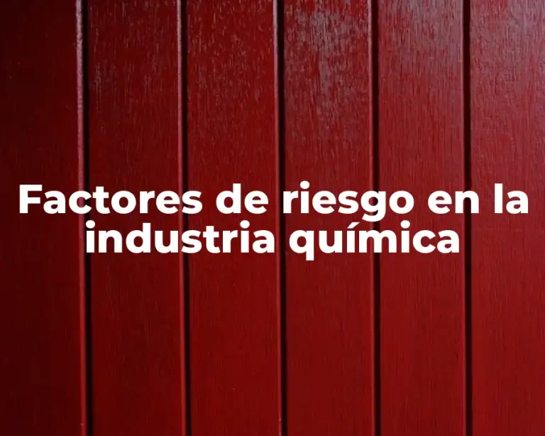 Factores de riesgo en la industria química