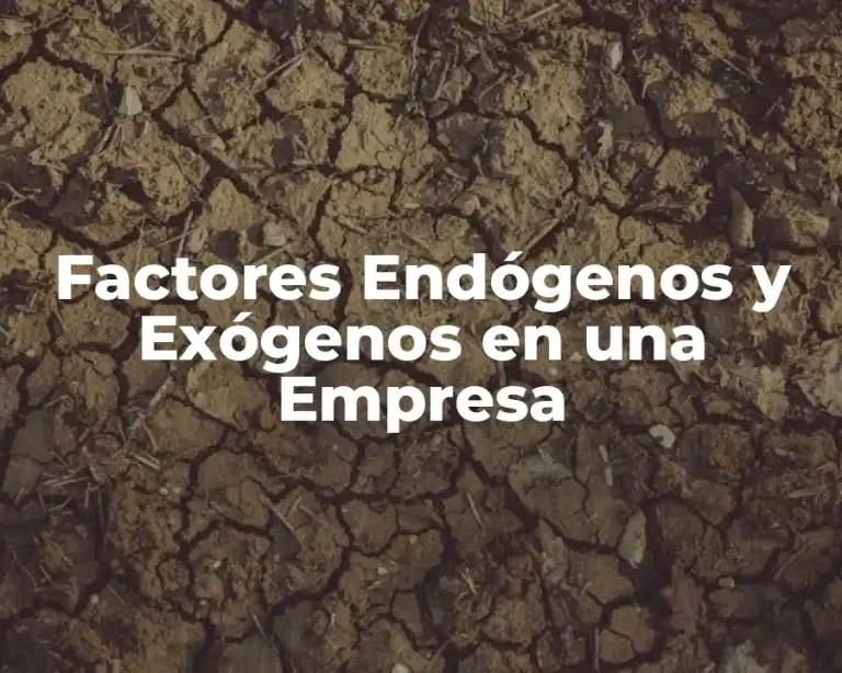 Factores Endógenos y Exógenos en una Empresa