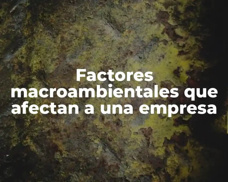 Factores macroambientales que afectan a una empresa