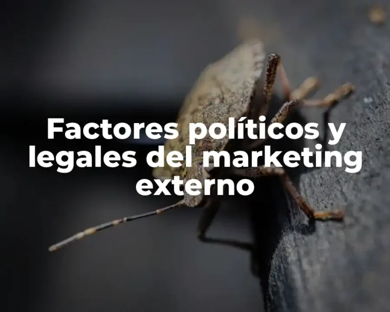 Factores políticos y legales del marketing externo