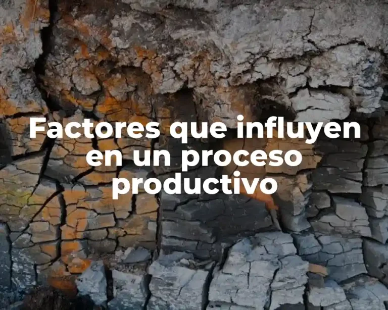 Factores que influyen en un proceso productivo