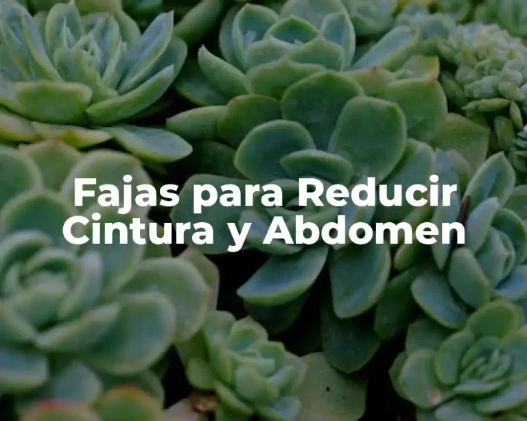 Fajas para Reducir Cintura y Abdomen