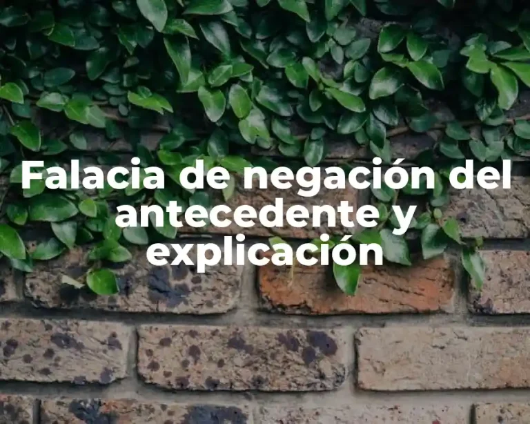 Falacia de negación del antecedente y explicación