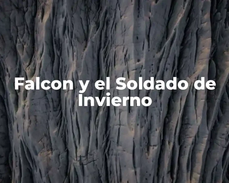 Falcon y el Soldado de Invierno