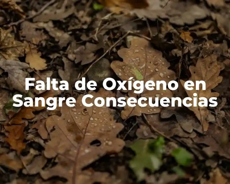 Falta de Oxígeno en Sangre Consecuencias