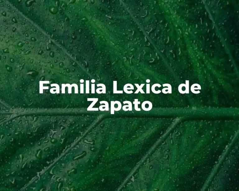 Familia Lexica de Zapato