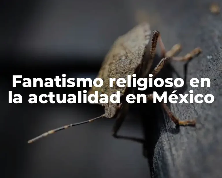 Fanatismo religioso en la actualidad en México