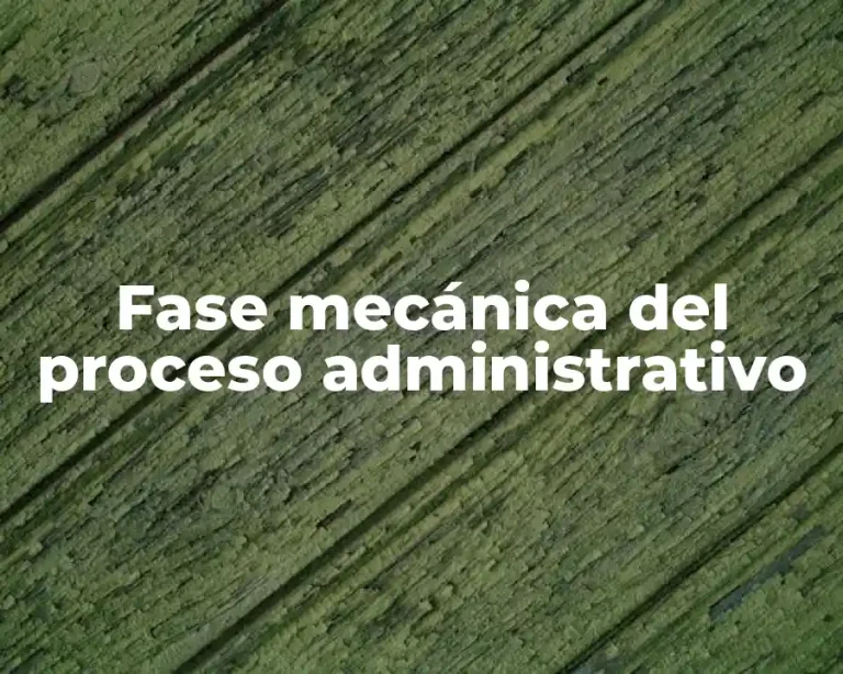 Fase mecánica del proceso administrativo