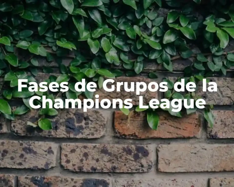 Fases de Grupos de la Champions League
