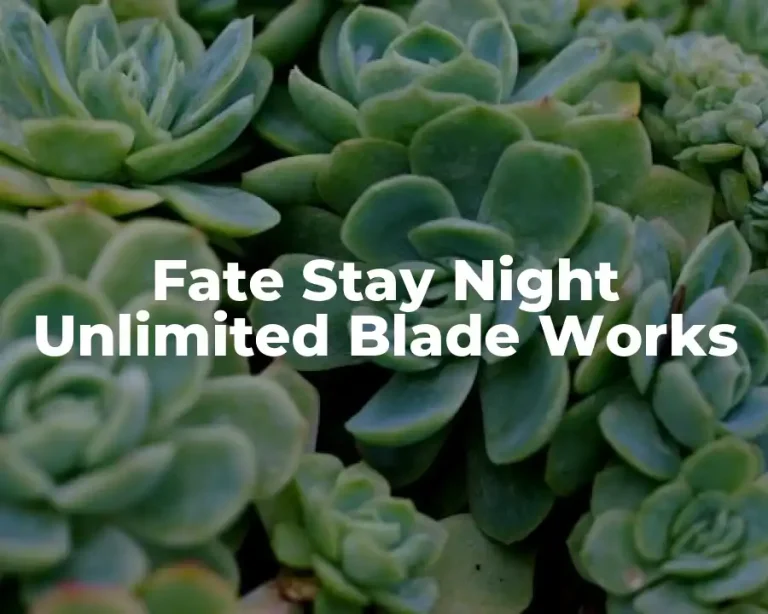 Fate Stay Night Unlimited Blade Works