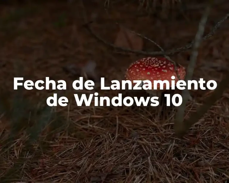 Fecha de Lanzamiento de Windows 10