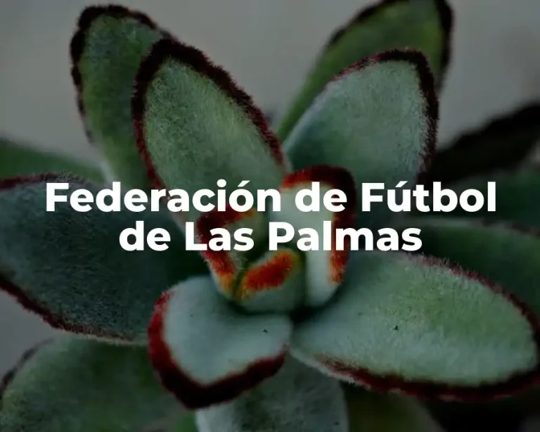 Federación de Fútbol de Las Palmas