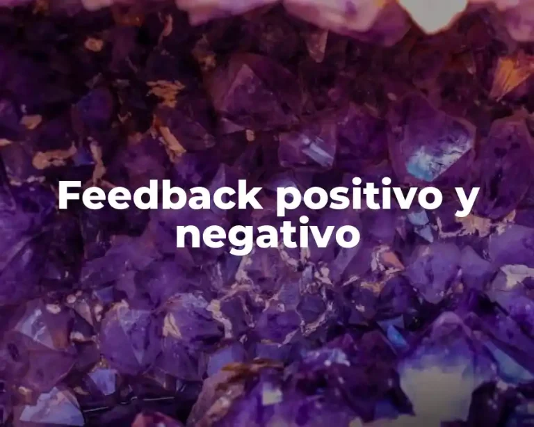 Feedback positivo y negativo