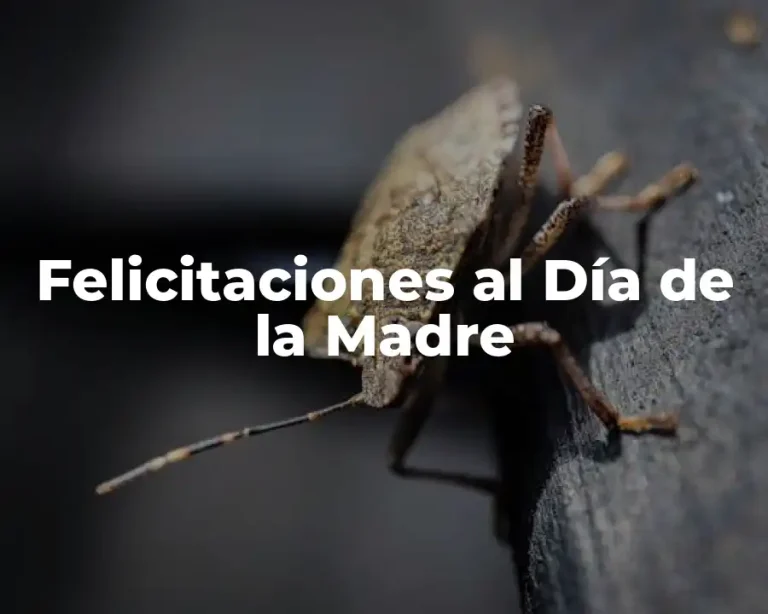 Felicitaciones al Día de la Madre